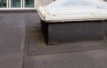 disadvantages of Snainton flat roofs