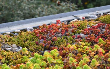 the cost of Snainton green roof installation