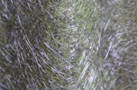 Snainton fibreglass roof work